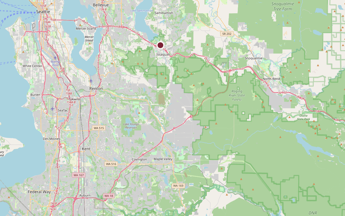 Map of our chimney service area across King County, WA