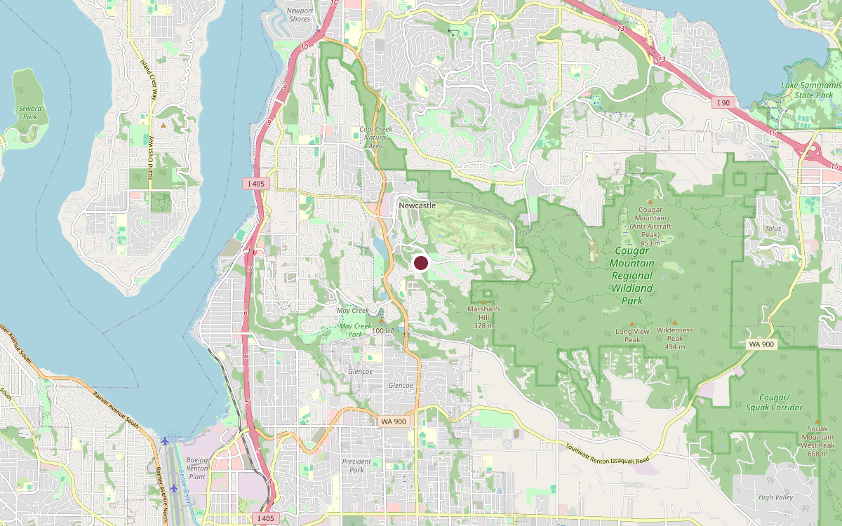 Map of our chimney service area in Newcastle, King County, WA